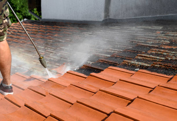 Best Residential Pressure Washing Services  in Timberne, LA