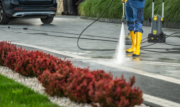 Best Roof Pressure Washing  in Timberne, LA