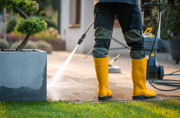 Best Exterior Home Cleaning  in Timberne, LA